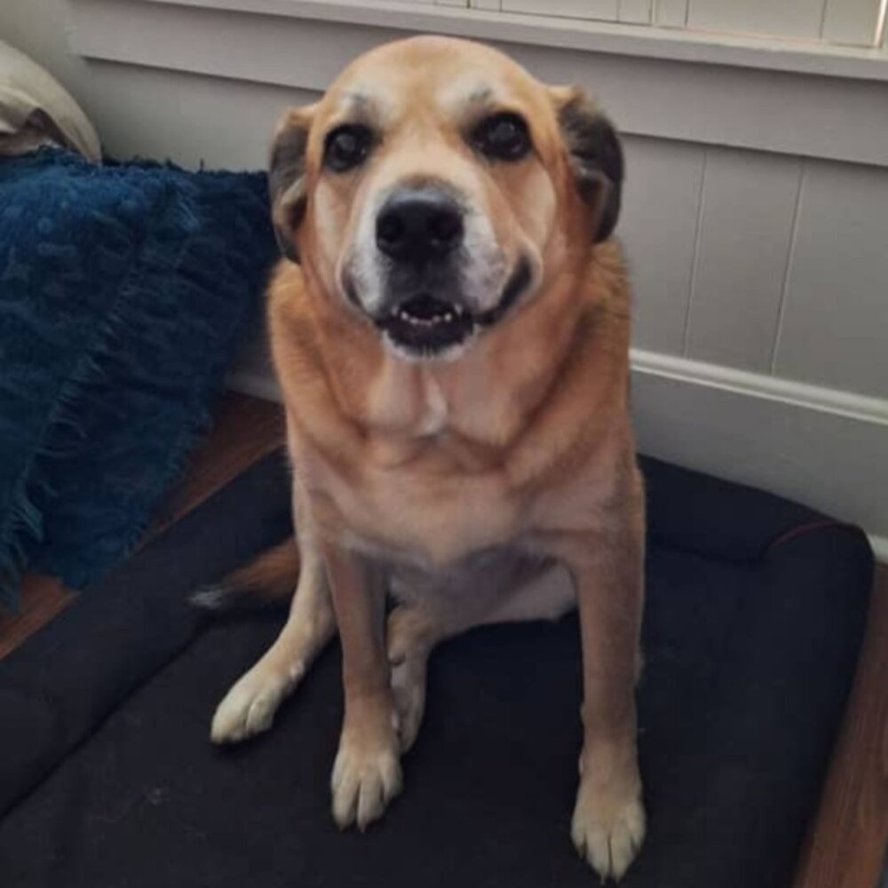 Meet your Posher, Lionel